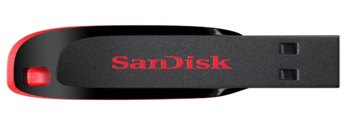 SAN-DISK Flash-Drive